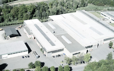 Kreuztal plant